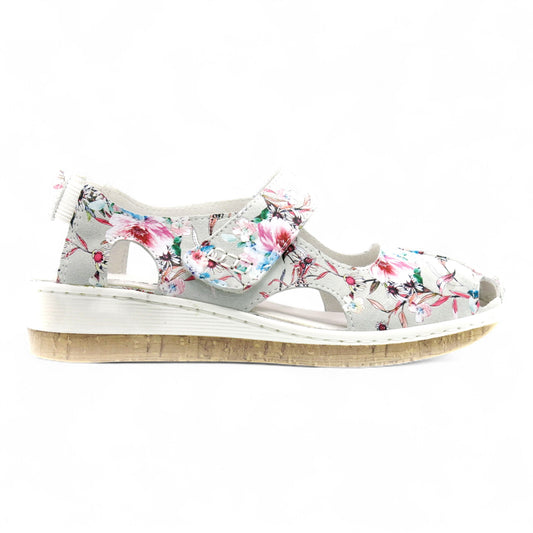 Cassini Maizy - Botanic