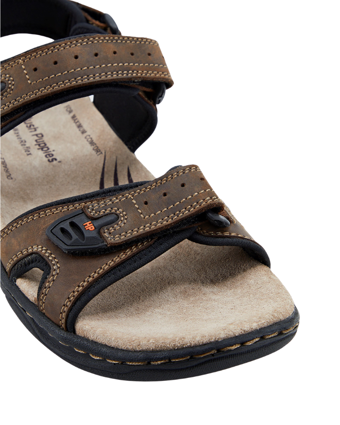 Hush Puppies Austin - Brown