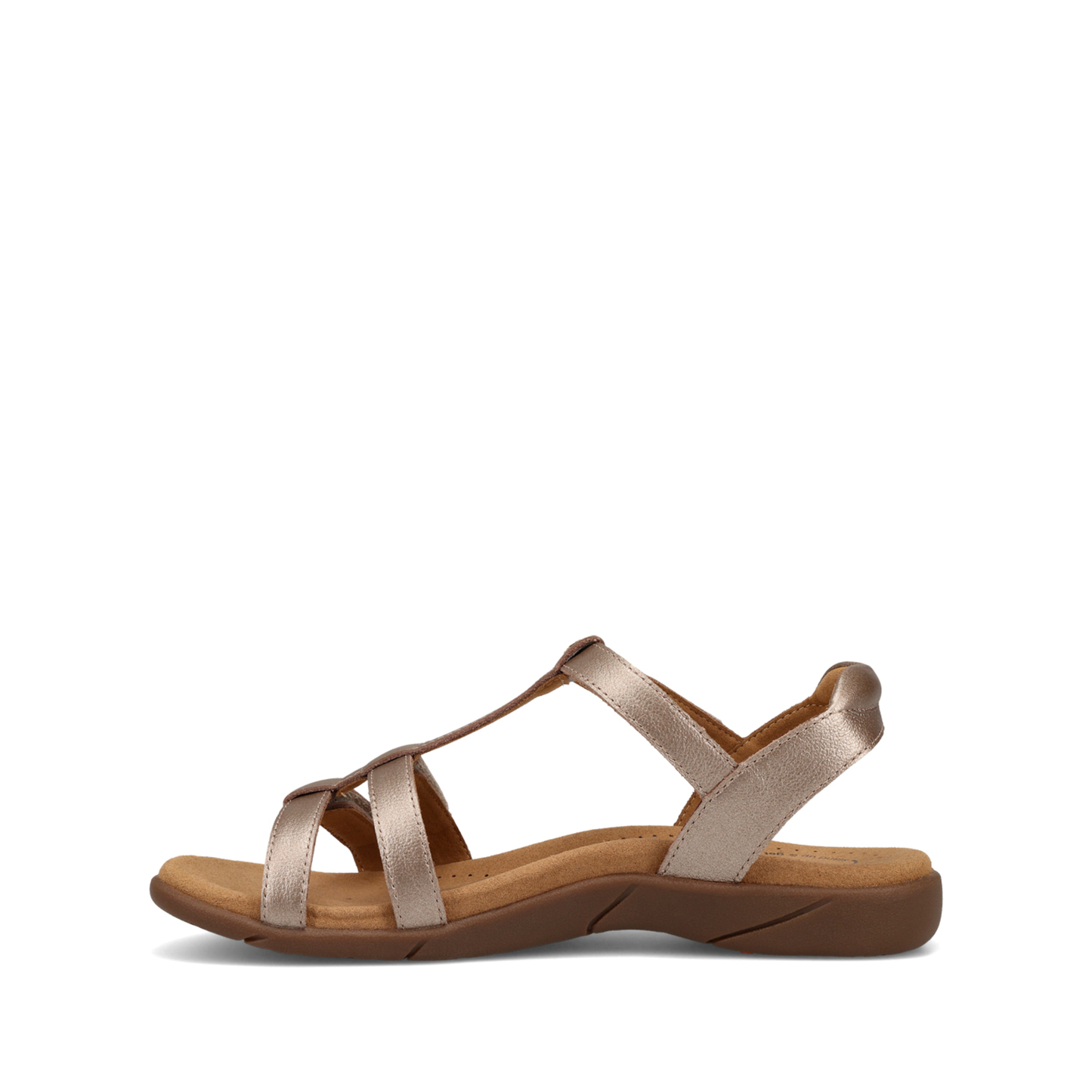 Taos Trophy - Champagne