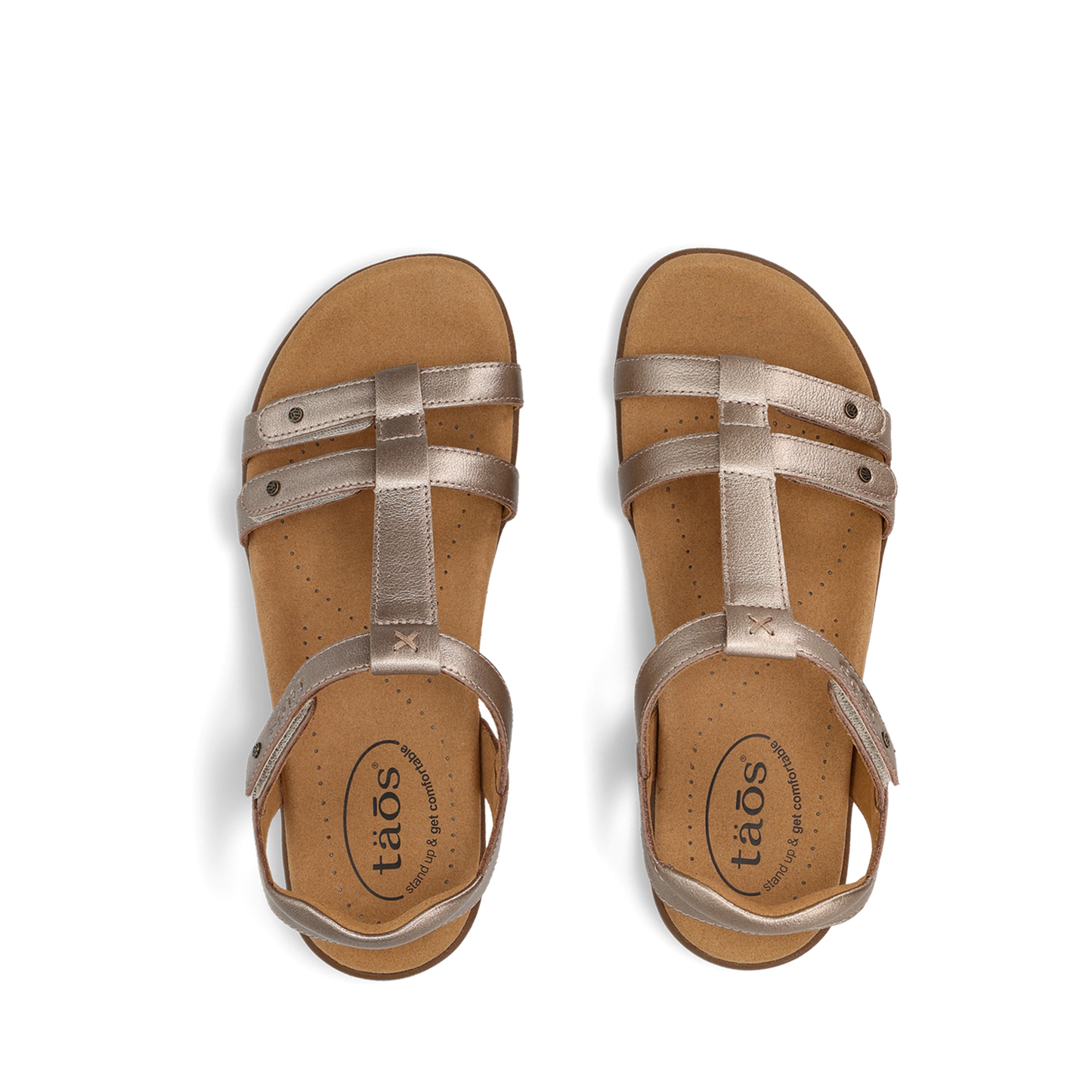 Taos Trophy - Champagne