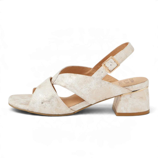 Ziera Carlen W - Ivory Fireworks
